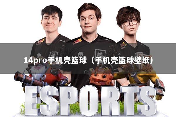 14pro手机壳篮球（手机壳篮球壁纸）