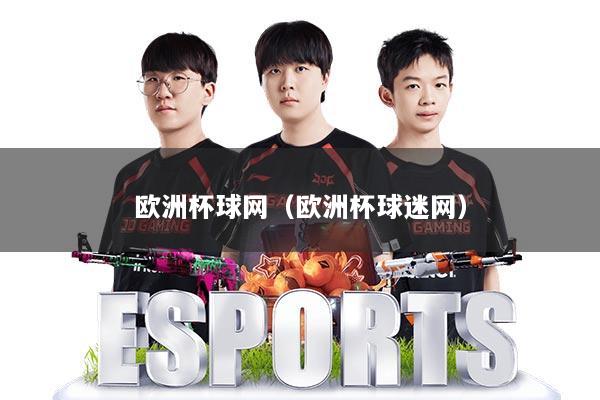 欧洲杯球网(欧洲杯球迷网)
