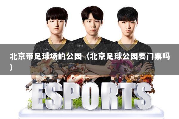 北京带足球场的公园（北京足球公园要门票吗）
