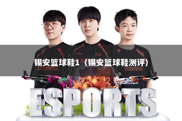 锡安篮球鞋1（锡安篮球鞋测评）