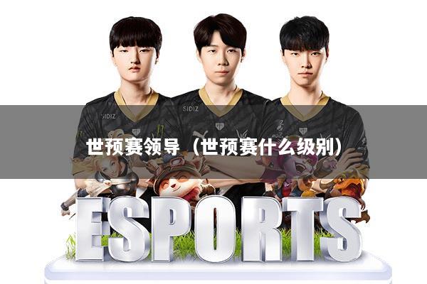 世预赛领导（世预赛什么级别）