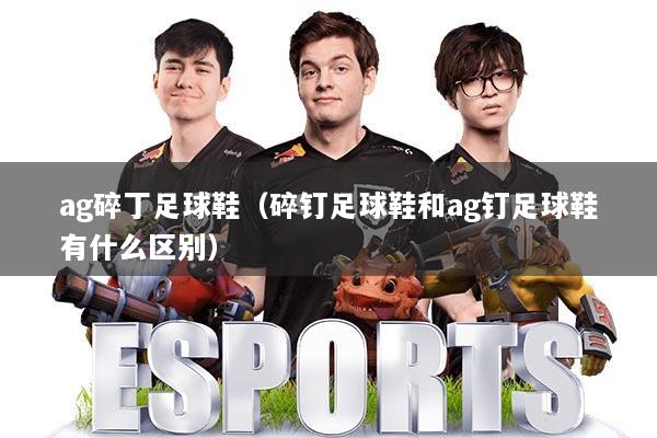 ag碎丁足球鞋（碎钉足球鞋和ag钉足球鞋有什么区别）