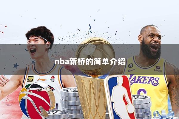 nba新桥的简单介绍