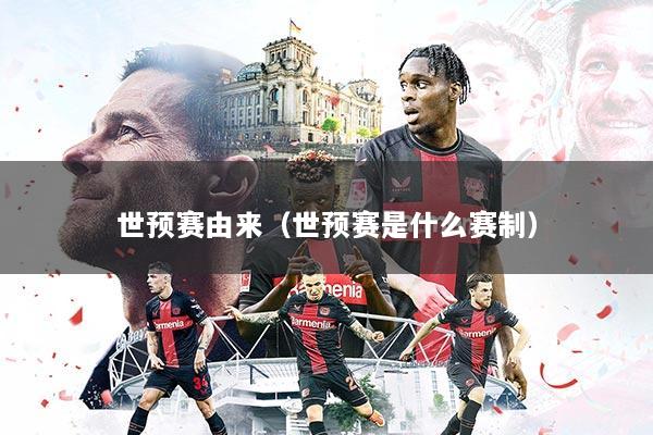 世预赛由来（世预赛是什么赛制）